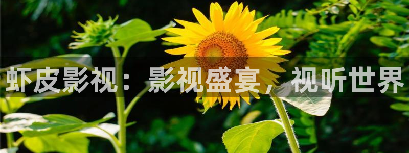 伊人影院永久入口：虾皮影视：影视盛宴，视听世界