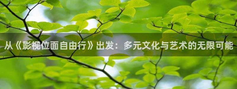 伊人剧场：从《影视位面自由行》出发：多元文化与艺术的无限可能