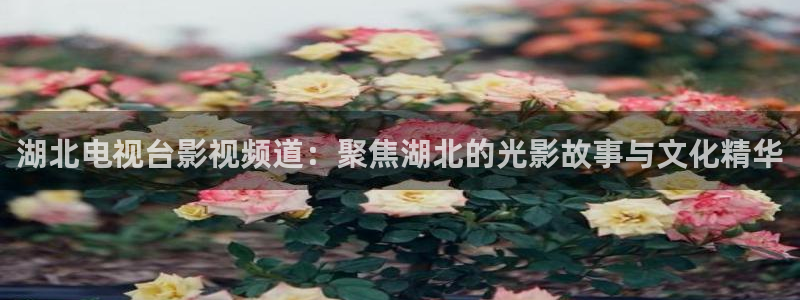 小伊人影院在线观看