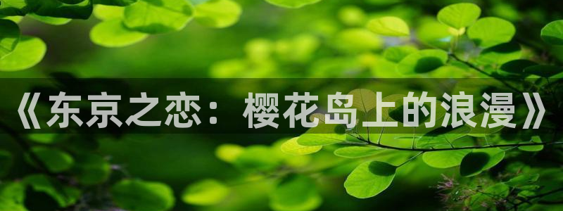 伊人97视频：《东京之恋：樱花岛上的浪漫》