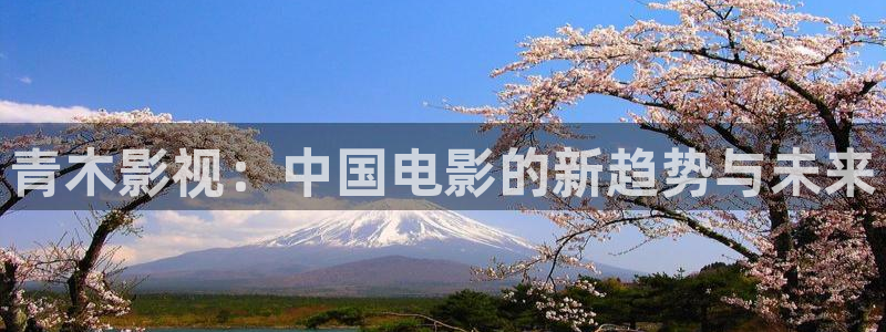 伊人久久综合视频