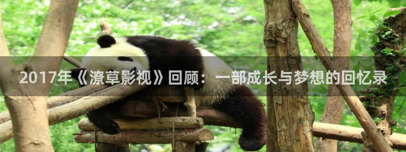 在线观看伊人影院