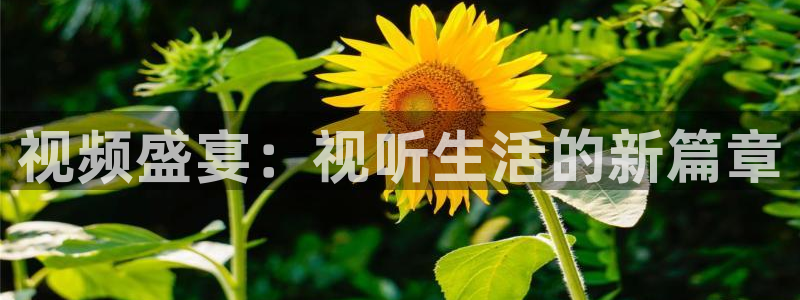 超碰伊人影院